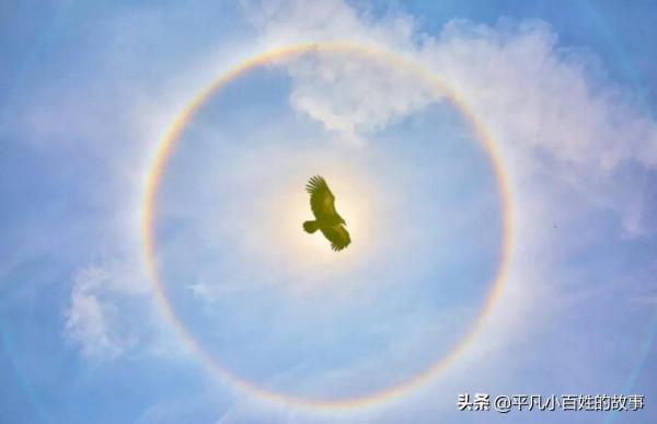 不許兒子考高中，非要讓上中專，命運，狠狠捉弄了她