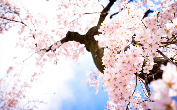 5天后，4個星座男，勢頭越來越好，邁過窘境，迎來光明