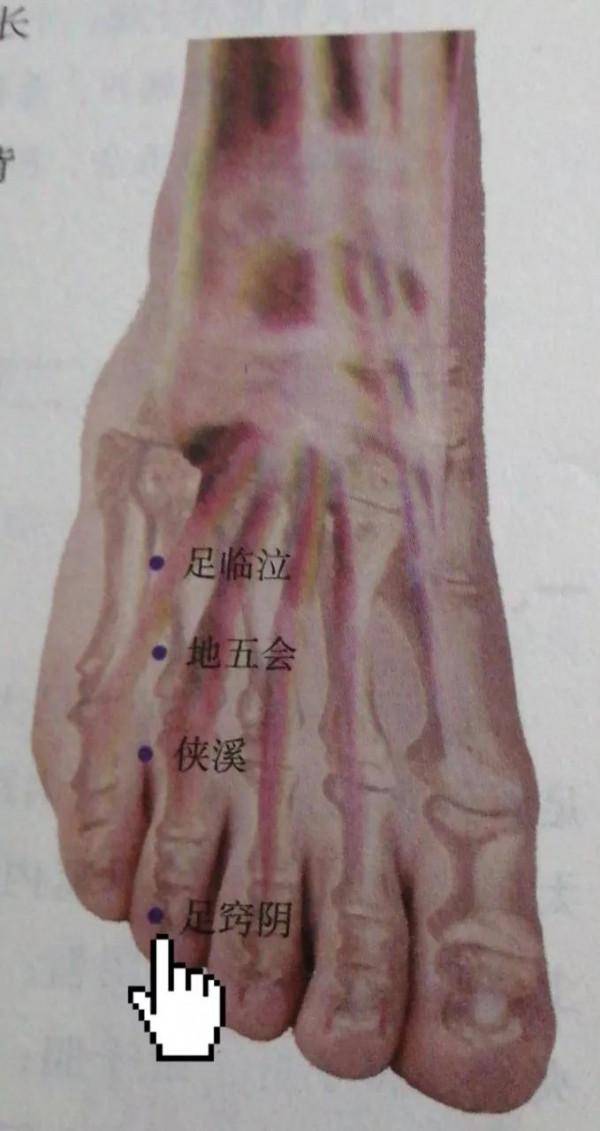 每日一穴——足竅陰穴