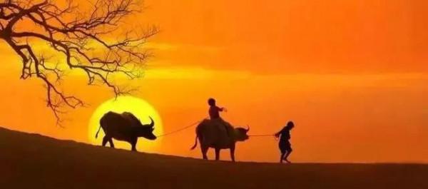 幸運四法則，越早知道人生越順遂