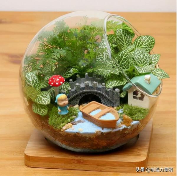 把大自然裝進瓶子裡，種在瓶子裡的微景觀究竟有多美？