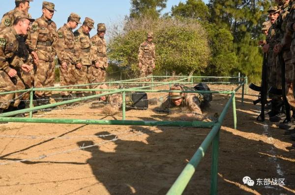 載譽凱旋,小島沸騰了 載譽凱旋,小島沸騰了