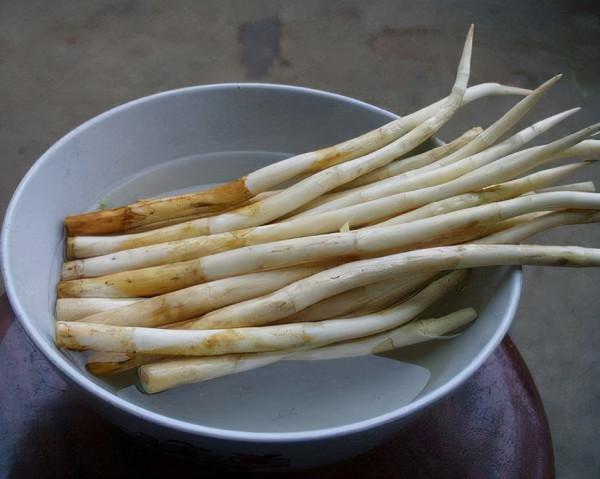 20種美味的野果子,你還記得幾種?一起來認識下,漲知識不吃虧 20種美味的野果子,你還記得幾種?一起來認識下,漲知識不吃虧