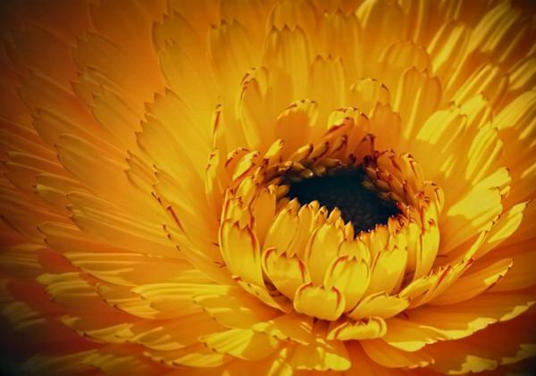 《晚熟的人》：莫言，我們不能改變世界，起碼能夠改變自己