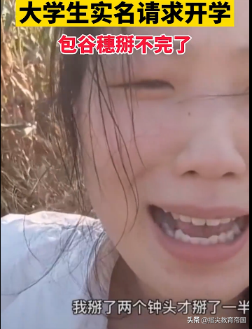 專治各種不想開學不愛學習:河南大學生請求開學,只因玉米掰不完 專治各種不想開學不愛學習:河南大學生請求開學,只因玉米掰不完