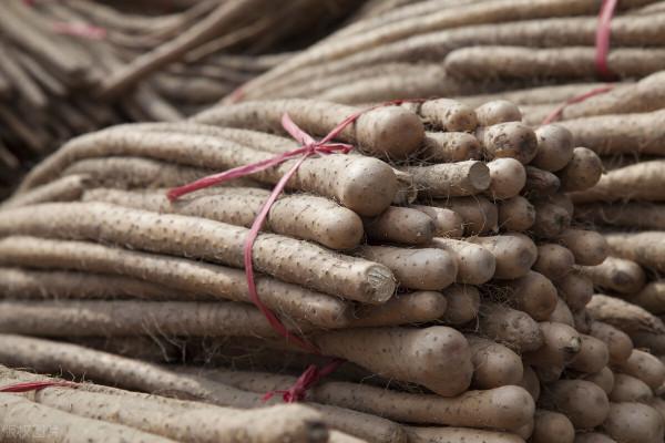 買年貨，別放過北方6個省的特產美食，各選出3樣，過年有口福了