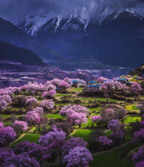 3月份旅遊地推薦，最美的春天都在這裡了