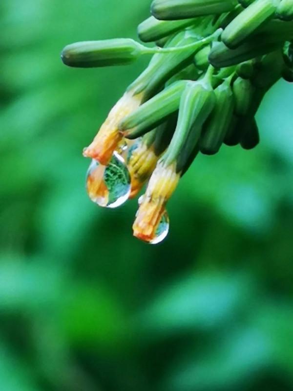 晚間悅讀 | 隔天跑?每天跑?每週慢跑多少次比較好? 晚間悅讀 | 隔天跑?每天跑?每週慢跑多少次比較好?