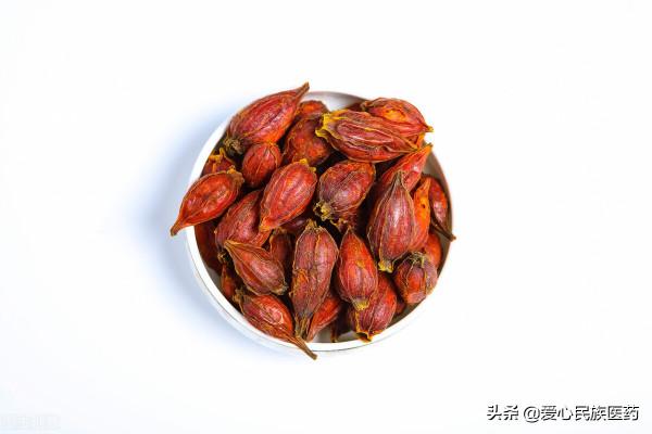 中華草藥之梔子 中華草藥之梔子