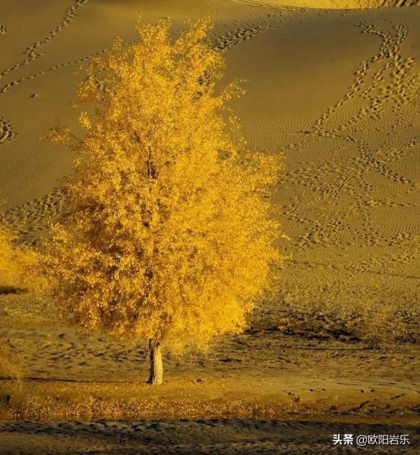 6條自駕路線,在路上看遍絕美風景 6條自駕路線,在路上看遍絕美風景