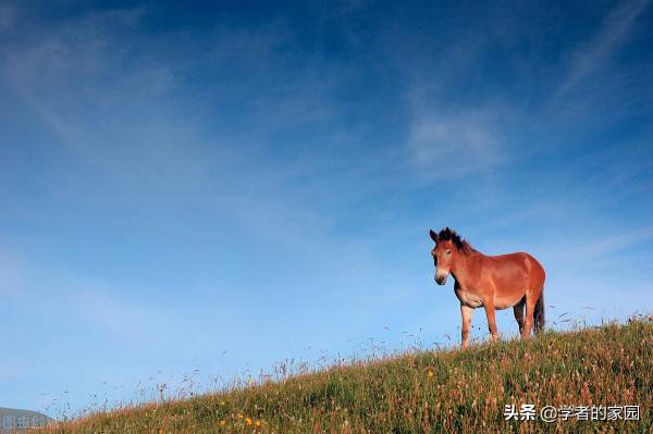 三晉遊之北嶽縱橫