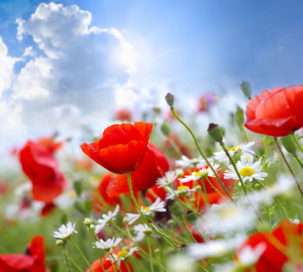 明年，4個星座，寬容大氣，不斤斤計較，去哪都受眾人歡迎