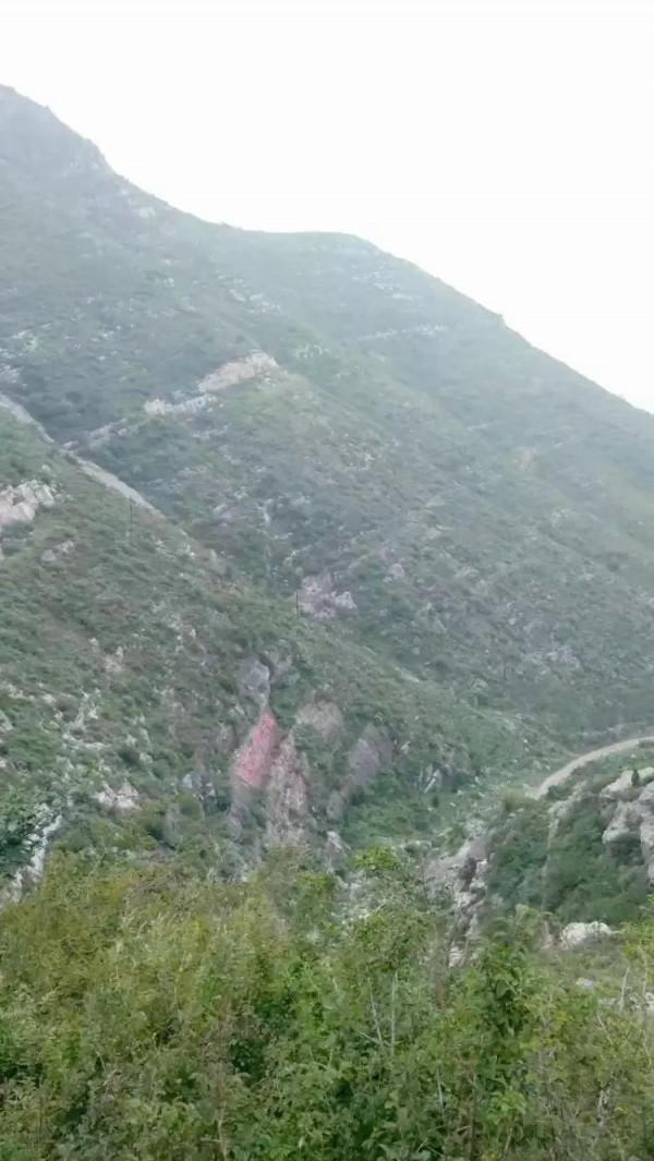 爬野山的樂趣——小記富平明月山