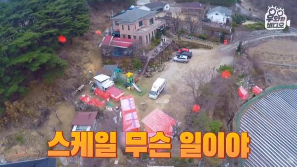 奇葩韓國高中生沉迷養雞，還帶雞上課，200只稀有雞震驚鳥類專家