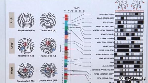 一斗窮、二斗富？康熙10個“簸箕”，科學家發現鬥與簸箕的奧秘
