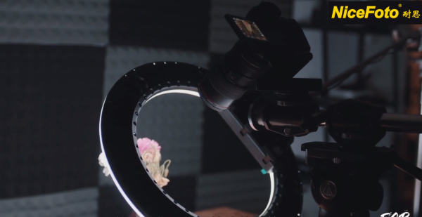 環形燈高階玩法,小九老師可以說是玩明白了 環形燈高階玩法,小九老師可以說是玩明白了