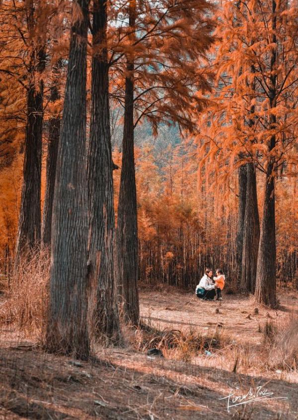 七年級語文（上）第三單元《寫人要抓住特點》寫作指導及範文