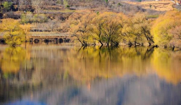 袁新錄｜人間仙境莊上許亭