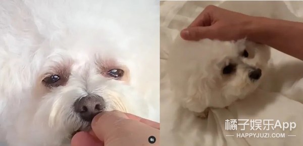 盤點哥哥的豪宅!趙文卓家客廳大到能滑板,陳小春家連鞋都有房間 盤點哥哥的豪宅!趙文卓家客廳大到能滑板,陳小春家連鞋都有房間