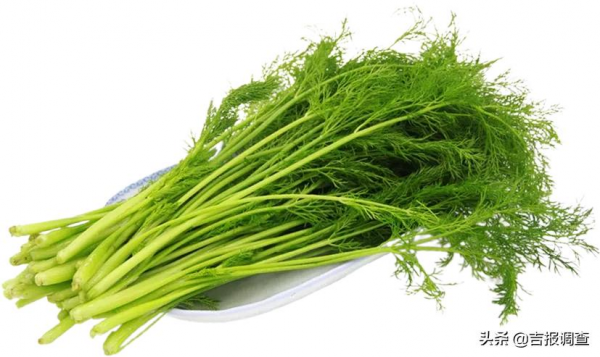 中醫專家提醒：冬季抗寒最宜食補，這13種抗寒食物可讓身體暖和起來