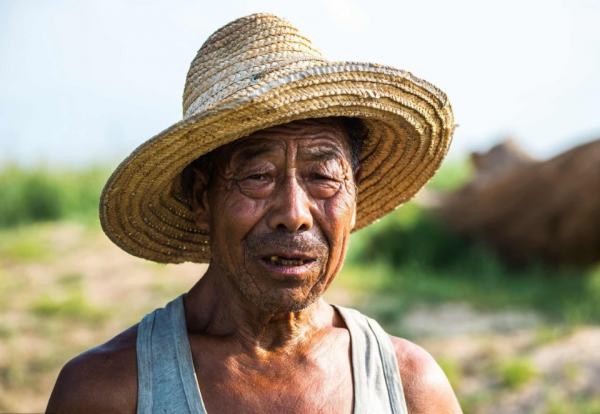 浙江老農挖出800年前的紅棺，專家調查後發現，墓主的身份不簡單