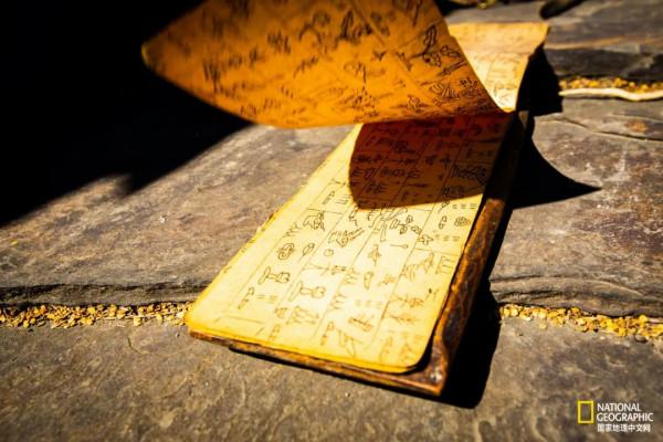 怒放的木裡，美到不真實