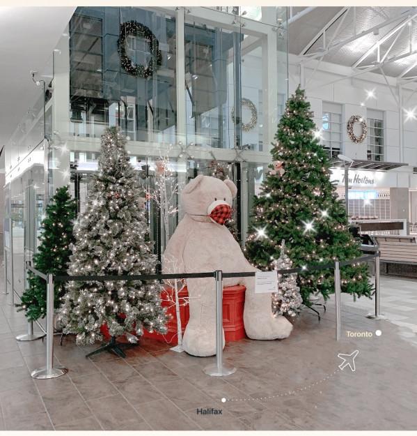 多倫多旅行十天日記Day1——廉價航空公司到底好不好