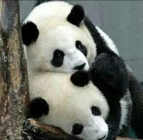 冬天雖冷,因為有你相擁而溫暖 冬天雖冷,因為有你相擁而溫暖