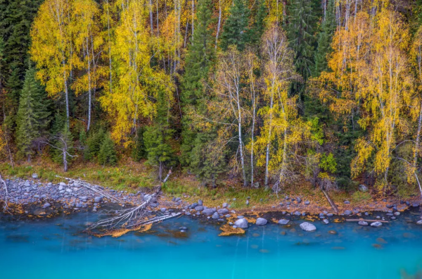 2021年，新疆非去不可，新疆怎麼玩，看完這一篇就夠了