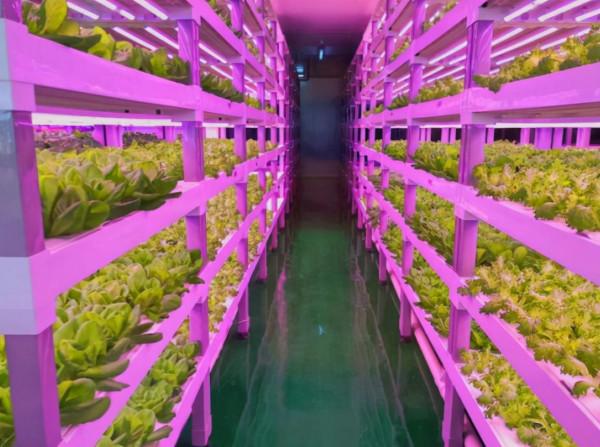 政策：國家建設300個休閒農業縣；褚一斌：種植數字化要長期沉澱