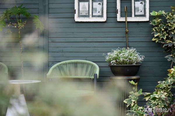 綠色背景牆的角落，聞著番木瓜花的香味賞月啦 | 園丁