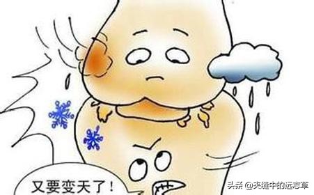 人還未老，腰已先老？送你六味中藥，補氣補血，溫通筋脈