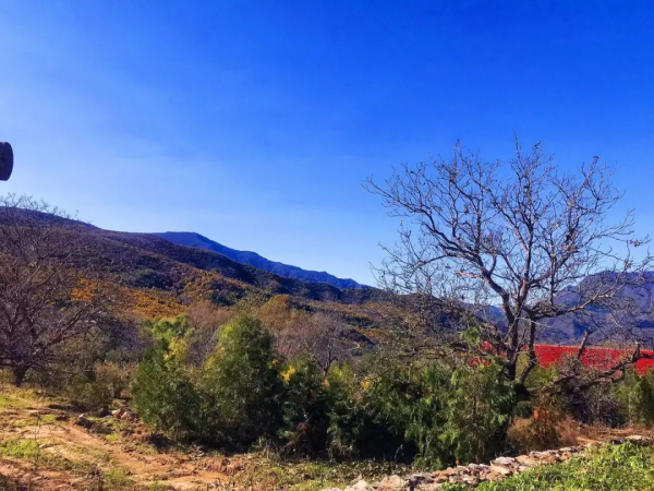 層嵐疊嶂的濃郁秋色，渲染出絕美的黃安坨！