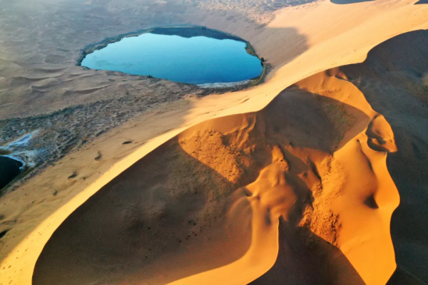 毫無懸念!今年最美的國內秋天,果然還是額濟納 毫無懸念!今年最美的國內秋天,果然還是額濟納