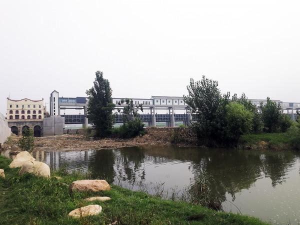 古渡新貌——我的家鄉之四