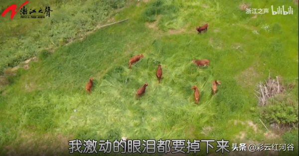 拿著手機東晃西晃的小年輕,一年把蜂蜜賣了1500萬…… 拿著手機東晃西晃的小年輕,一年把蜂蜜賣了1500萬……