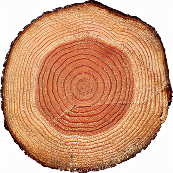 NEUSON(紐松)--海上絲綢之路的結晶，傢俱行業的傳奇