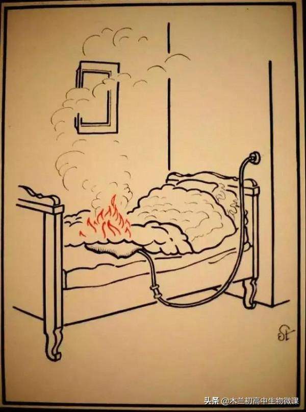 科普漫畫：物理老師來給咱講講這些觸電都是咋產生的，如何避免？