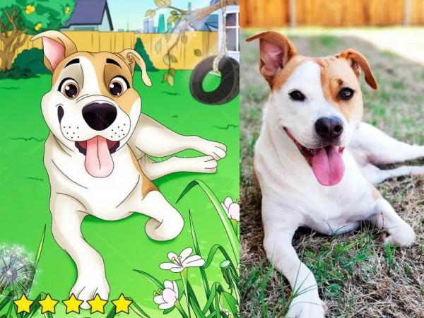 當狗狗貓咪變成可愛動畫形象，萌到你了嗎？