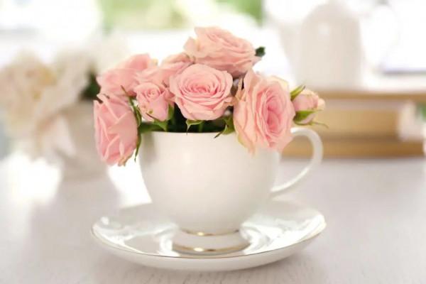 最快樂的活法 最快樂的活法