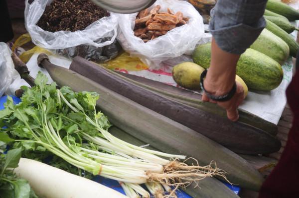 雲南菜市場有多“野”，逛了一圈，讓人眼界大開，幾乎都不認識