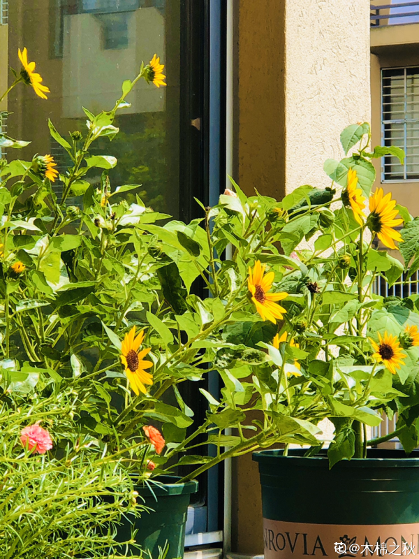 人到中年,4件事要看開,生活會越來越好 人到中年,4件事要看開,生活會越來越好