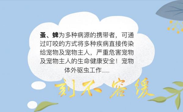 毛孩子生病之後,我真的再也不敢忽視毛孩子身上的蚤蜱危害了 毛孩子生病之後,我真的再也不敢忽視毛孩子身上的蚤蜱危害了