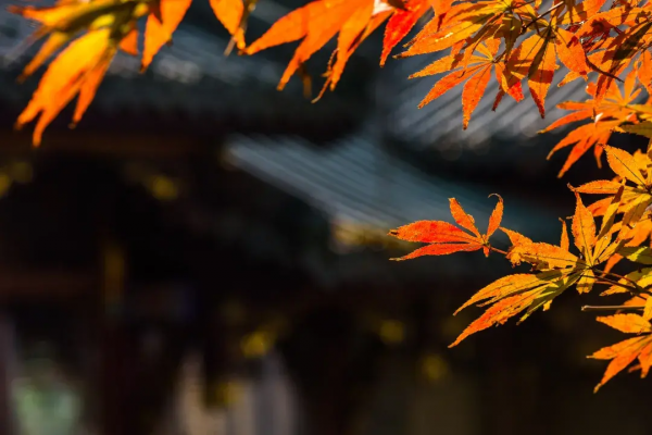 12月旅行推薦：10個人少景美的地方，用旅行給2021畫上句號吧