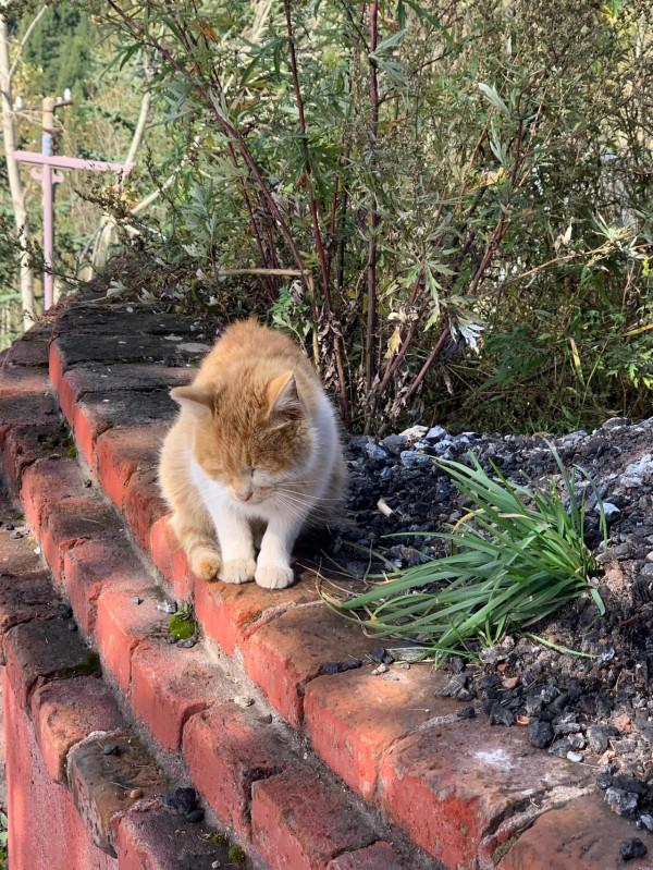 又見五臺山之二黛螺頂 又見五臺山之二黛螺頂