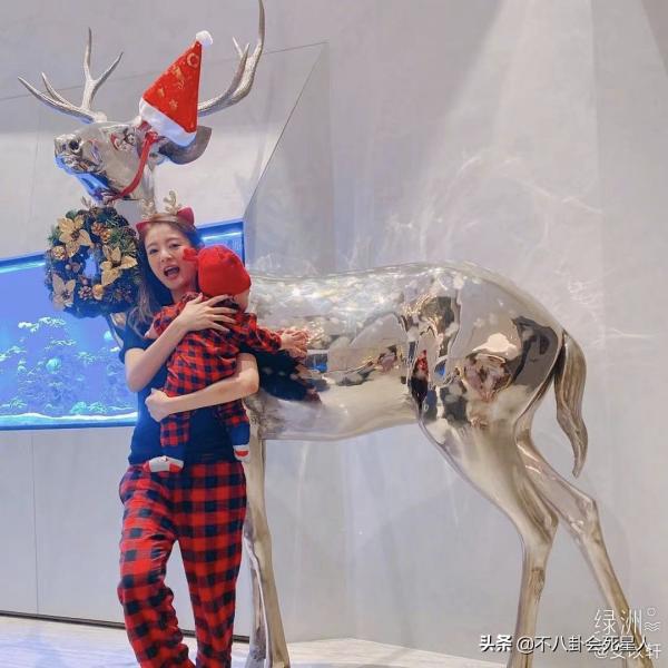 女星嫁入豪門住什麼房？郭晶晶家坐擁泳池海灘，王豔家住故宮邊