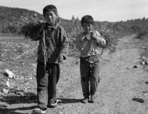 他在部隊養豬23年，只有小學文憑，卻受毛主席11次接見，他是誰？