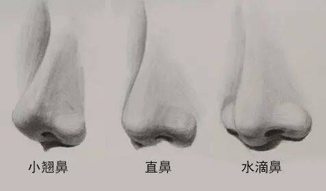 一個好看的鼻尖對於隆鼻來說真的很重要