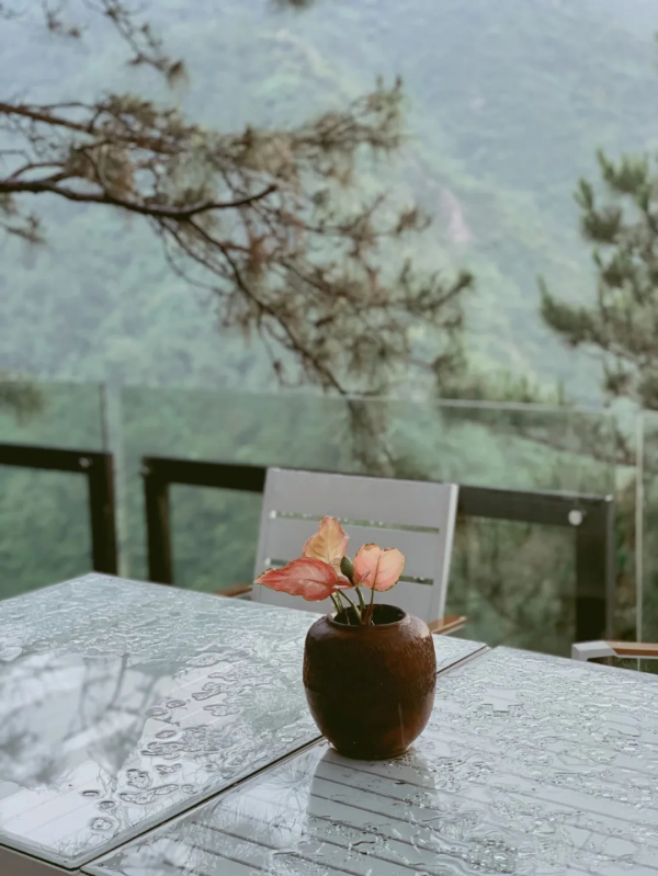 廣州自駕1h，清遠筆架山浪漫野奢民宿，無邊森林泳池丨外寓