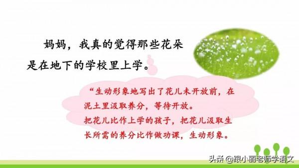 趕緊替孩子儲存，複習一定用得上，三上《花的學校》知識點梳理